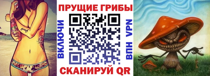 Галлюциногенные грибы MAGIC MUSHROOMS  Бодайбо 